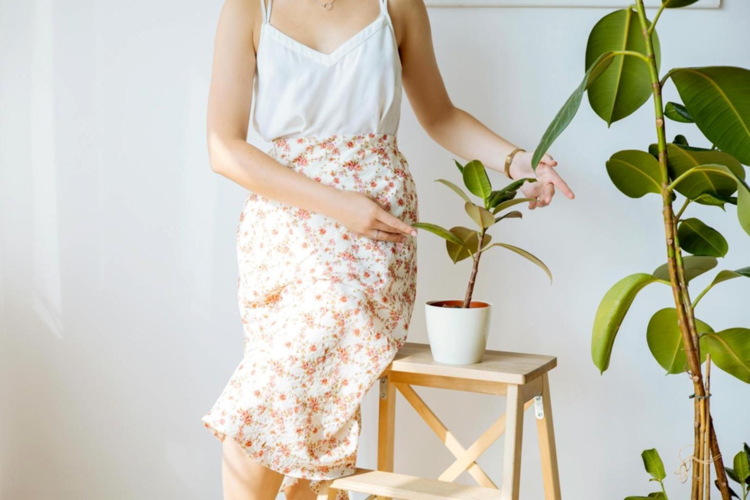 Commercial office space with integrated botanical design creating welcoming atmosphere